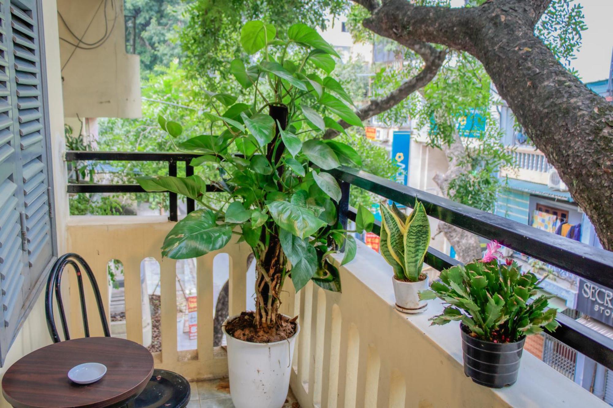 Hanoi Family Homestay Dış mekan fotoğraf