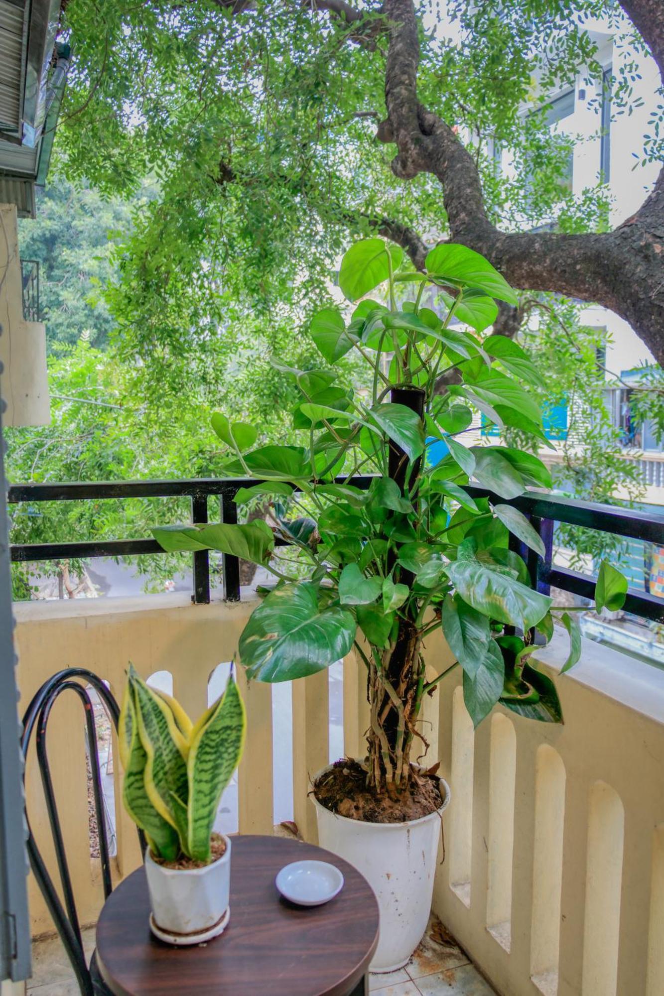 Hanoi Family Homestay Dış mekan fotoğraf
